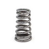 Genuine BMW Valve Spring - 11347837681